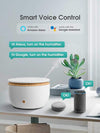Smart WiFi Wireless Oil Diffuser Umidificatore App Controllo vocale Diffusore