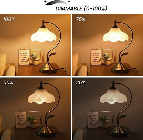 Lampadina a LED Klarlight E27, lampada a LED da 8 W, a incandescenza 6 Pcs