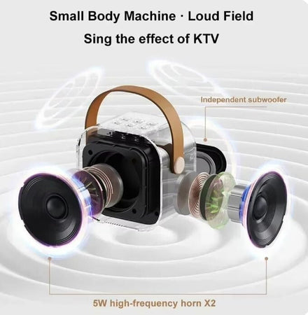 K12 Bluetooth Karaoke Machine Sistema di altoparlanti PA portatile 5.3 con 1-2 m