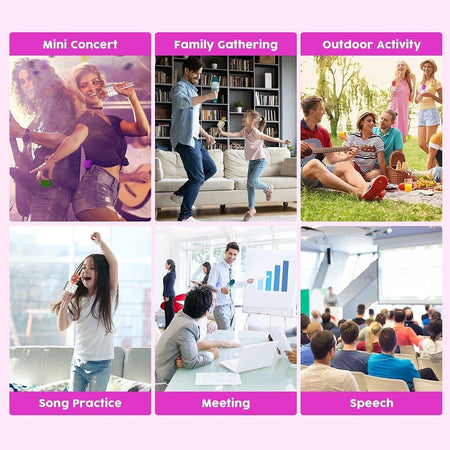 Microfono Wireless pink WS-858 Altoparlante Cassa Integrata Bluetooth Portatile