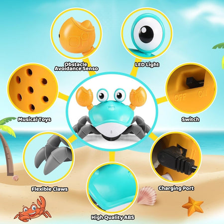 Toyzey Granchio Che Cammina, Giocattoli Bambini 1 Anno Neonato 3-6-9 Mesi