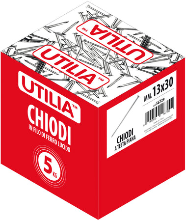 Utilia Chiodo A Testa Piana Mis. 25X220 Mm. 5.00 Kg