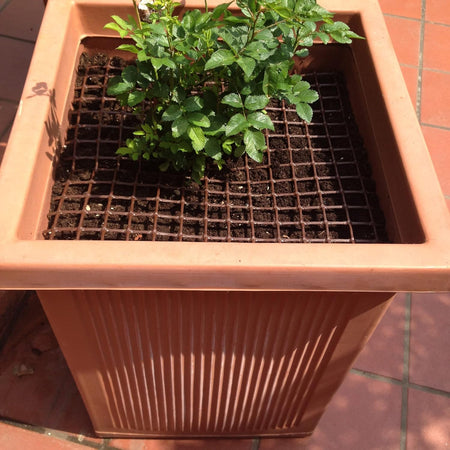 Rete Di Protezione 'Quadra' 1,0X50 Mt - Colore Marrone Rete Protettiva In Plastica A Maglia Quadrata Per Balconi, Cancelli E Recinzioni