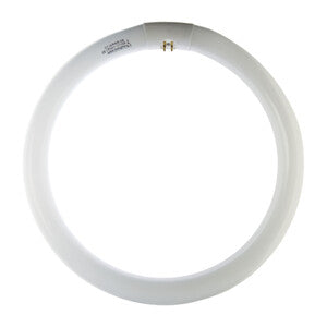 Circolina 22W G10Q 1200Lm 6500K- 12,0 Pz