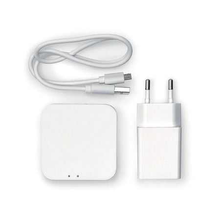 Smart Gateway- Sr- Pezzi 1