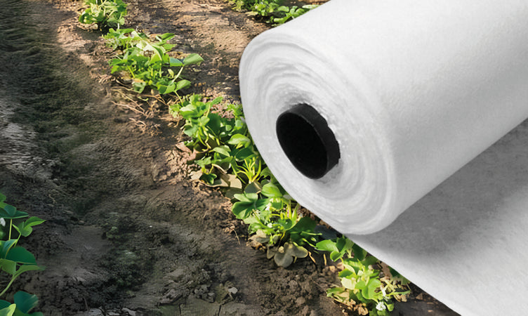 Telo Di Protezione Antigelo A Rotolo In Tnt Mt. 1,6X250