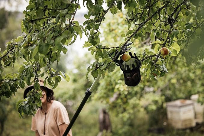 Fiskars Accessorio Coglifrutta Up80