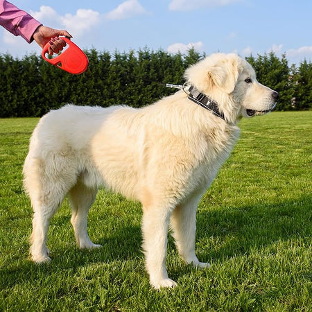 Guinzaglio Per Cani Flippy One Tape Large Rosso- Ferplast- 1,0 Pz