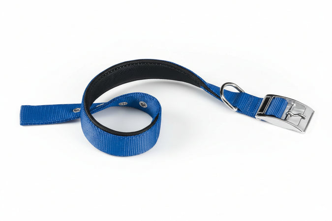 Collare Per Cani 'Daytona C' 25 Mm X 45÷53 Cm - Colore Blu - Ferplast