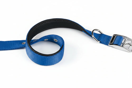 Collare Per Cani 'Daytona C' 20 Mm X 35÷43 Cm - Colore Blu - Ferplast
