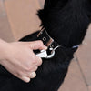 Collare Per Cani 'Daytona C' Mm 15X 27÷35 Cm - Col. Nero - Ferplast