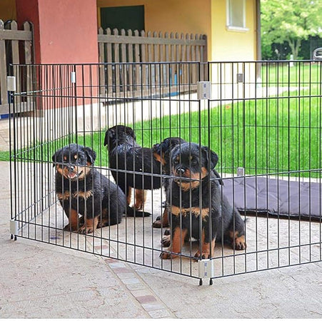 Recinto Educativo Per Cuccioli 'Dog Training' Cm 80 X 80 X H 62 - Ferplast