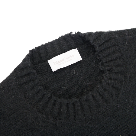 DIANA STUDIO Crewneck Brushed da uomo