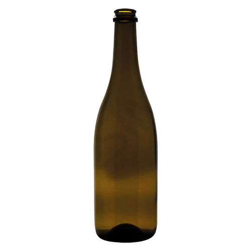 Bottiglia In Vetro Tipo 'Champagne' 750 Ml - Colore Antico- 12 Pezzi - Bricogo