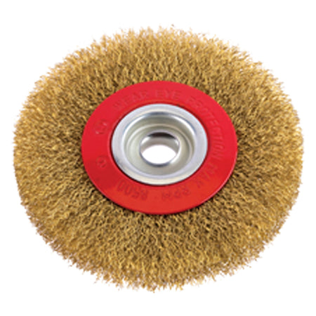 Spazzola Circolare Per Mola Ø Mm 120 - Foro Mm 13 - Pg