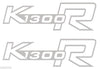 2 ADESIVI SERBATOIO per MOTO BMW K1300R K1300 STICKERS K 1300 R ARGENTO 14x4