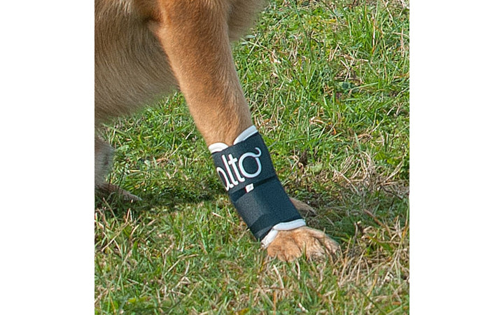 Tutore del Carpo per cani Bt Joint