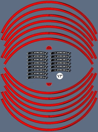 KIT STRISCE ADESIVE compatibili per CERCHI 17 MOTO KAWASAKI Z800 Adesivi tuning