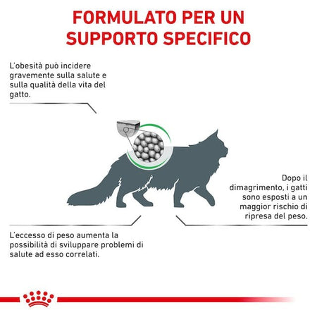 Royal Canin Satiety Weight Management Croccantini per Gatti Adulti