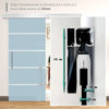 Porta Scorrevole Interna in Vetro Smerigliato e Satinato con Binario B2 e Maniglia per Bagno Cucina Studio Vetro 205x 102.5x 0,8cm QS2E7-0016QS2