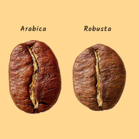 Caffè del Professore per moka macinato e tostato 1Kg