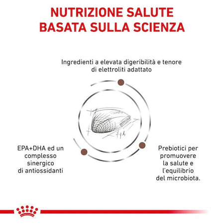 Royal Canin Gastrointestinal Croccantini per Gatti Adulti