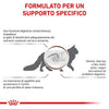 Royal Canin Gastrointestinal Croccantini per Gatti Adulti