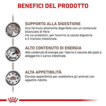 Royal Canin Gastrointestinal Croccantini per Gatti Adulti