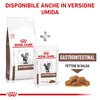 Royal Canin Gastrointestinal Croccantini per Gatti Adulti