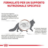 Royal Canin Gastrointestinal Fibre Response Croccantini per Gatti Adulti