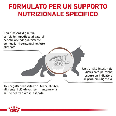 Royal Canin Gastrointestinal Fibre Response Croccantini per Gatti Adulti