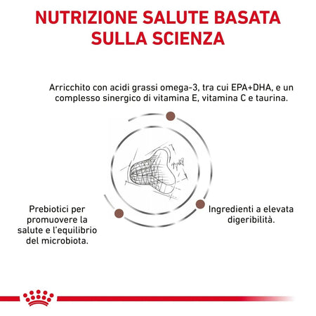 Royal Canin Gastrointestinal Fibre Response Croccantini per Gatti Adulti