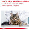 Royal Canin Gastrointestinal Fibre Response Croccantini per Gatti Adulti