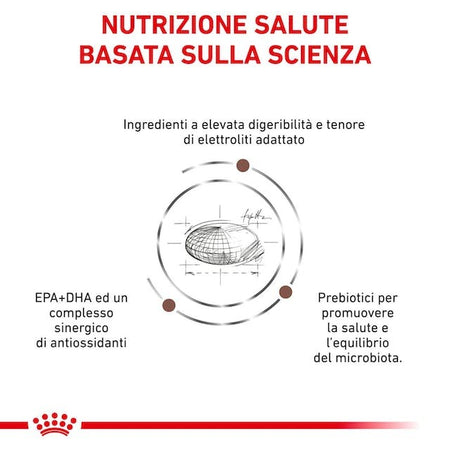 Royal Canin Gastrointestinal Moderate Calorie Croccantini per Gatti Adulti