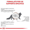 Royal Canin Gastrointestinal Moderate Calorie Croccantini per Gatti Adulti