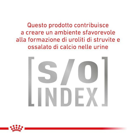 Royal Canin Gastrointestinal Moderate Calorie Croccantini per Gatti Adulti