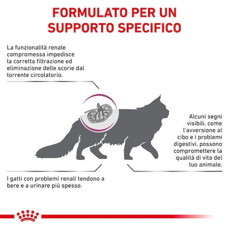 Royal Canin Renal Croccantini per Gatti Adulti