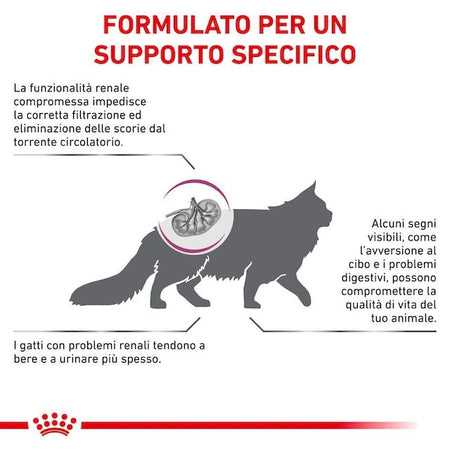 Royal Canin Renal Select Croccantini per Gatti Adulti