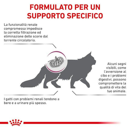 Royal Canin Renal Special Croccantini per Gatti Adulti
