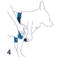 Bt Soft Tutore Gomito