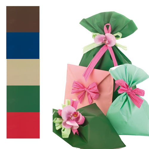 100 Buste Regalo In Ppl Mat A Everyday Classic 25X40Cm 5 Colori Classici