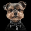 Milk & Pepper Papillon Glitter Nero per Cani