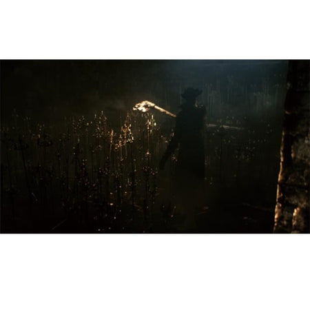 PlayStation Bloodborne colpisce il gioco PS4