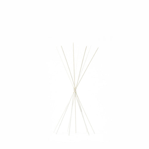 Bastoncini per Profumatore fragranze ambiente profumo intenso