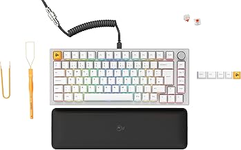 Glorious Gaming GMMK PRO 75% Modulares mechanisches Gaming-Keyboard, TKL, Grundgerst 1,5 kg, voll anpassbar, Spiralkabel, Handgelenkablage, PBT-Tastenkappen, Deutsch QWERTZ Layout - Wei
