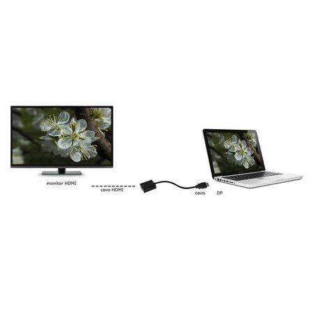 Cavo convertitore DisplayPort, DP - HDMI tipo A, Maschio femmina - cm 15