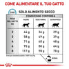 Royal Canin Sensitivity Control Croccantini per Gatti Adulti