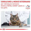 Royal Canin Sensitivity Control Croccantini per Gatti Adulti