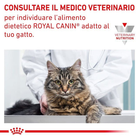 Royal Canin Sensitivity Control Croccantini per Gatti Adulti