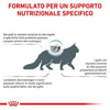 Royal Canin Sensitivity Control Croccantini per Gatti Adulti